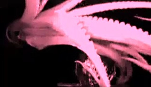 82b26c45-6840-4dde-a39a-b1c18f6e4a38