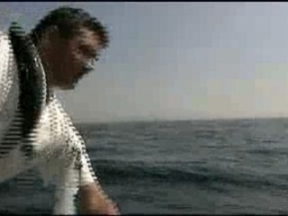 la pêche au(x) maquereau(x)