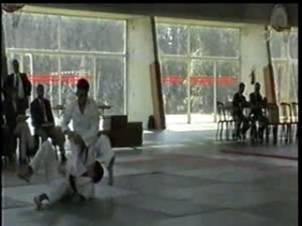 karate_jutsu