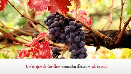 Yemek Tarifleri Zıp Zıp