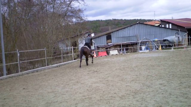 Karistan - séance obstacle - 3 mars 2014