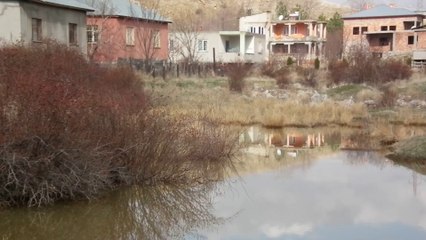 AFŞİN'DE YAĞMUR SULARI BAHÇELERE TAŞTI.-HALİL DEMİR