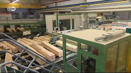 Laub statt Nadeln - Umbau in deutschen Wäldern | Made in Germany