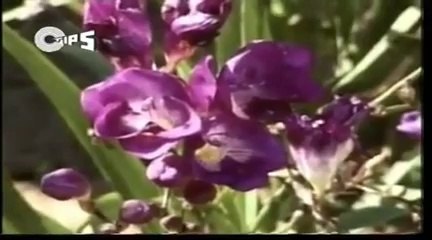 _Ratnakar Pachisi_ - Jain Stotra