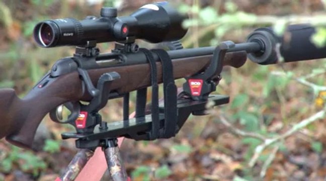 Fieldsports Britain - Stalking, hunting with hounds and Britain's angriest vixen