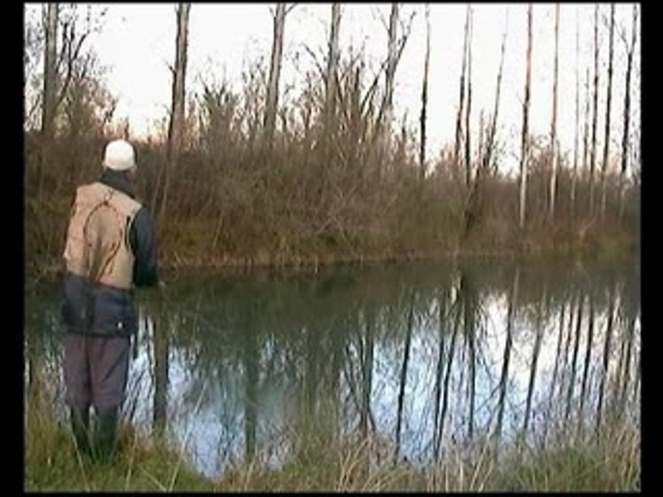 The content experience