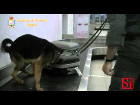Napoli - Cocaina nello stomaco, arrestato a Capodichino -1- (11.03.14)