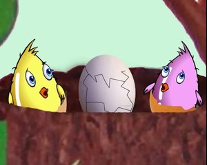 Cute animation cartoon ! two birds and egg ! funny videos ! funny baby birds video