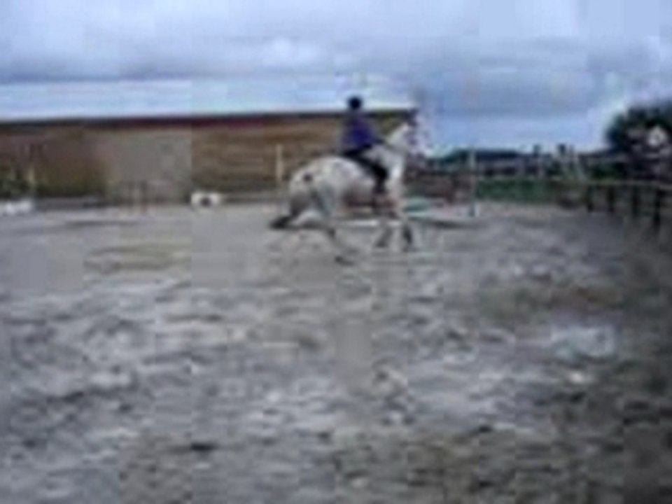 Orage, Ecuries du bout du monde