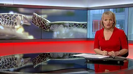 BBC Midlands Today - 12/3/14