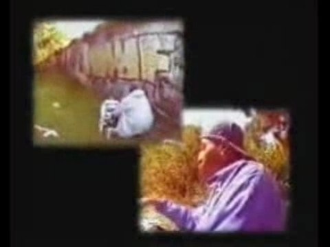 les sages poetes de la rue - reportage