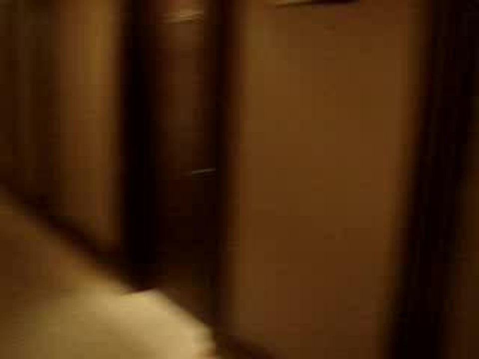 french__connexion__in__praha