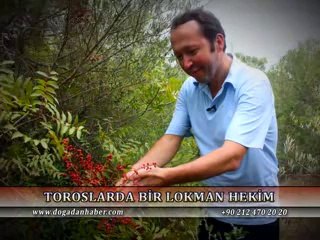 BİTKİSEL ÜRÜNLERLE KESİN ÇÖZÜM!