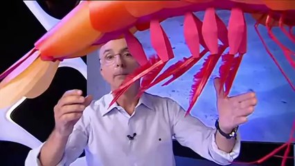 La gamba, un cas de pesca sostenible.