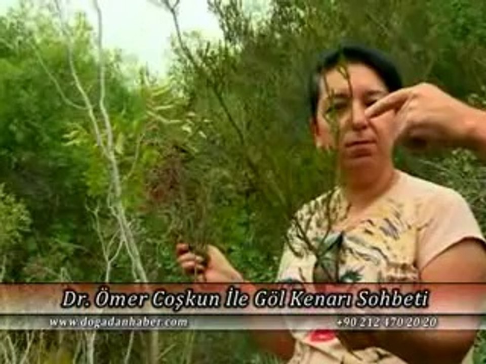 BİTKİSEL ÜRÜNLERLE KESİN ÇÖZÜM!
