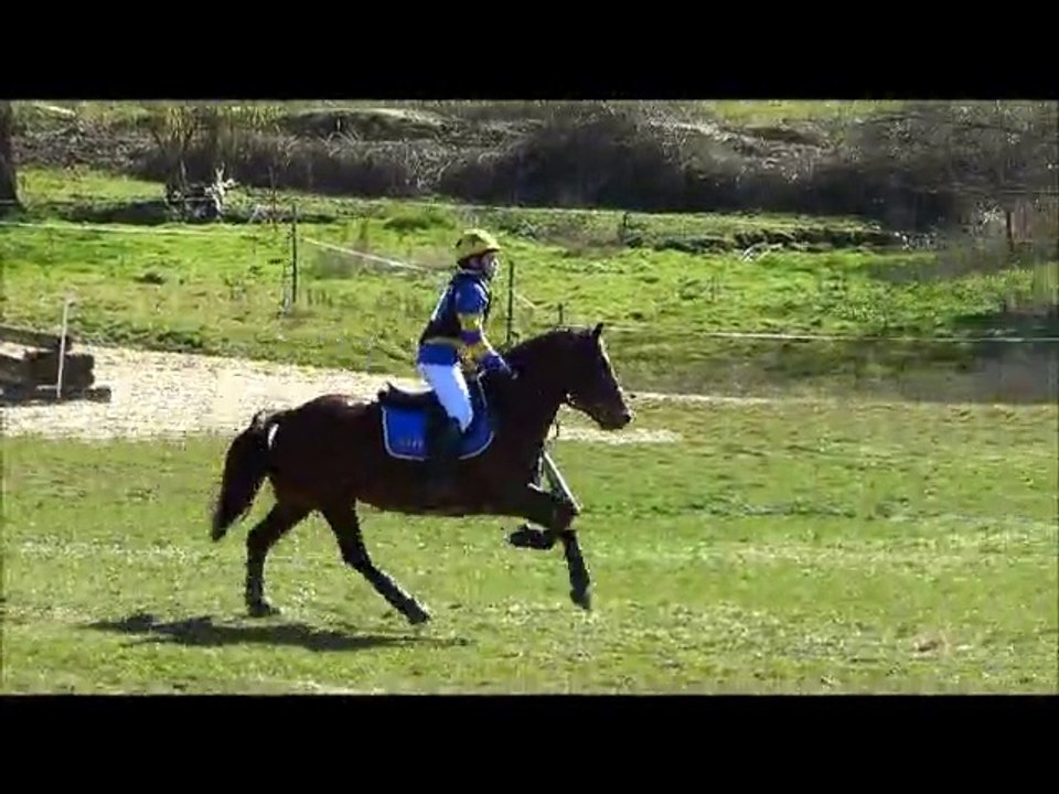 CCE P1 Longvilliers 9/03/14 - LLETTYCRUDD TOMOS