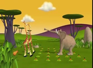 Gazoon - The African Carrots