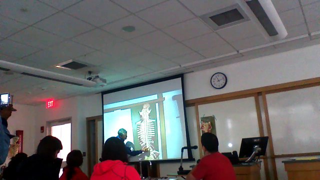 Spinal Cord/Spinal Nerve
