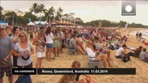 Dog-surfing competition in Australia