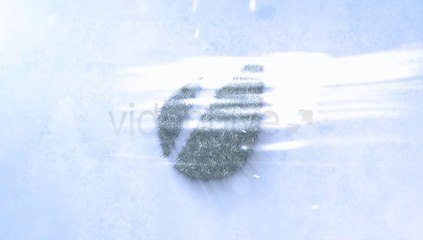 Grass Logo Freeze Logo Sting