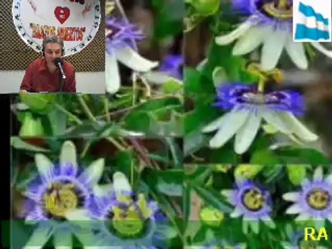 Radio Brazos Abiertos Hospital Muñiz Programa CULTURA Y SALUD 11 de Marzo (2)