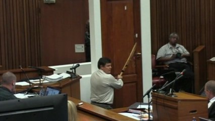 Pistorius smashed toilet door with bat, expert says