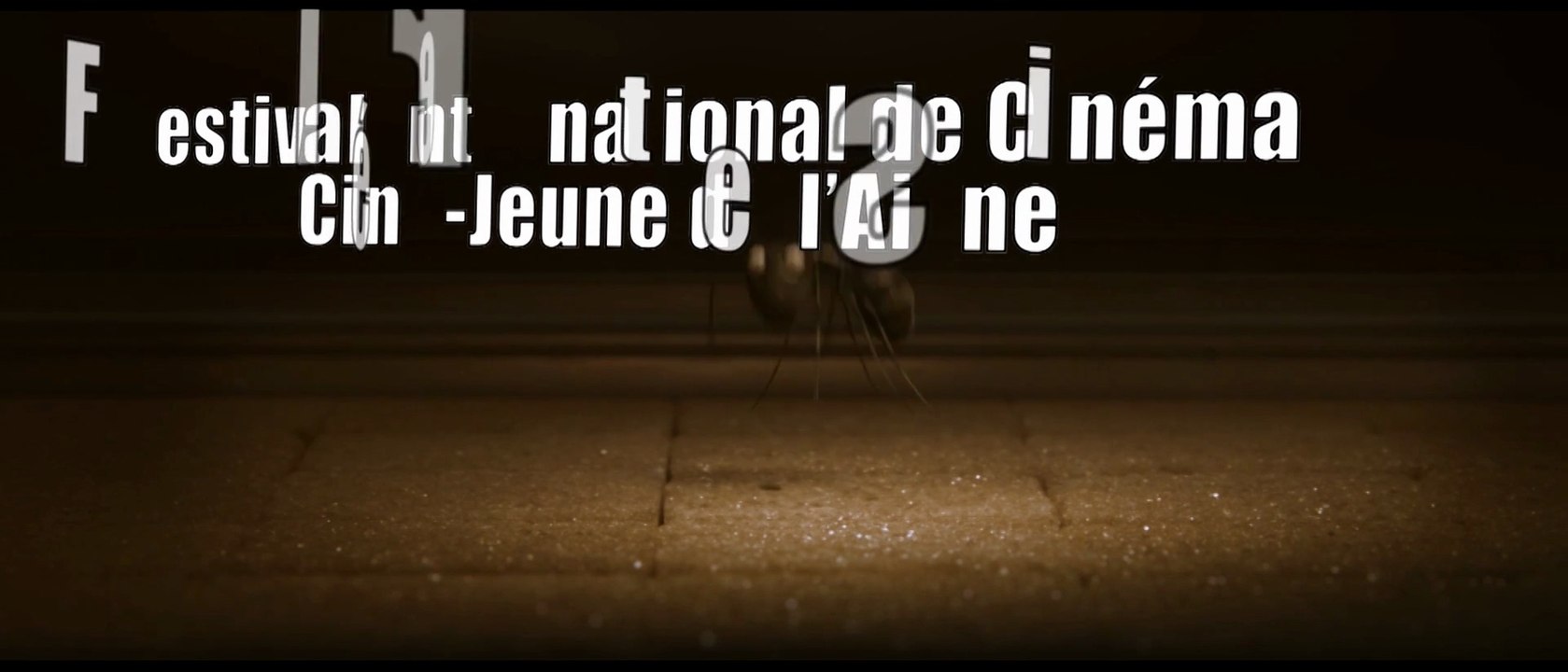 FESTIVAL CINE JEUNE 2014 35sec HD