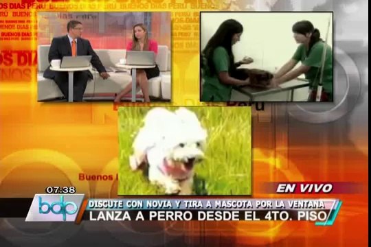 Sereno lanzó a su mascota desde el cuarto piso mientras peleaba con su pareja