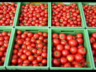 MSV 2013 - atelier mécanisation - Ulrich Schreier