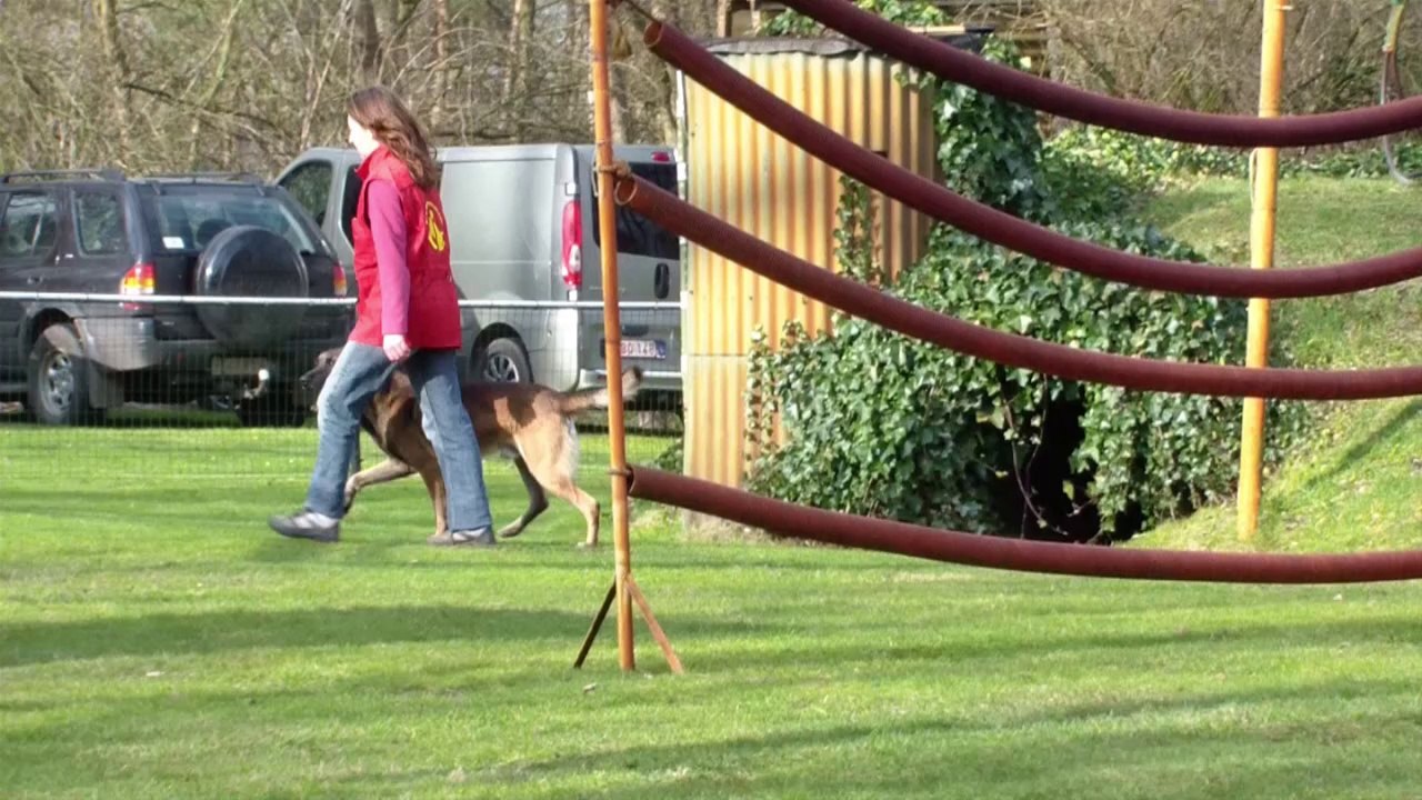rony Meerhout