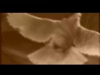 Nachid Clip - Islamic en Arabe