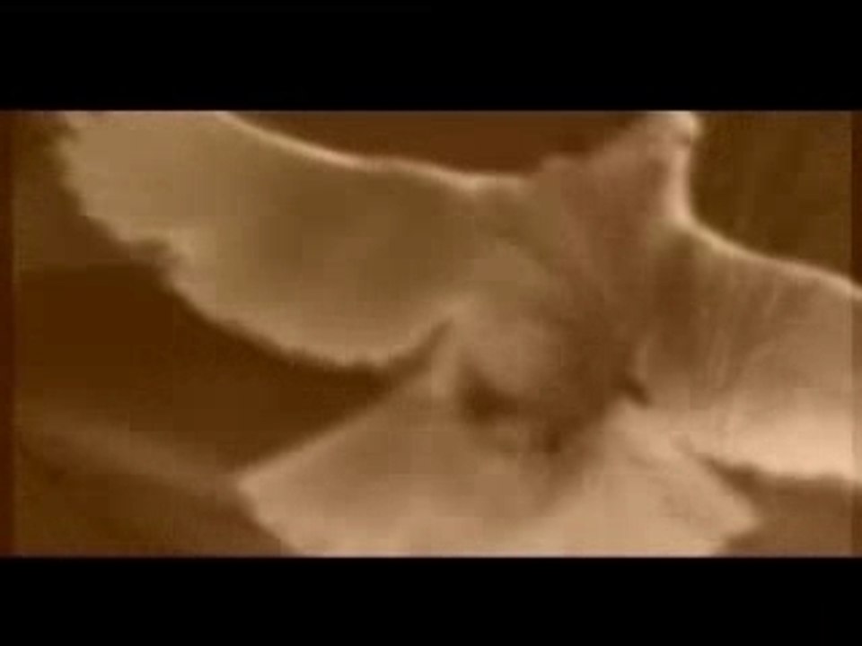 Nachid Clip - Islamic en Arabe