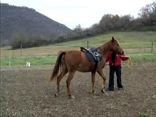 K début pas espagnol