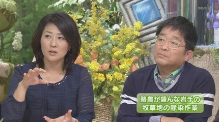 20140311a_岩手県にある牧草地4万ヘクタールのうち1万5000ヘクタールが放射性物質で汚染