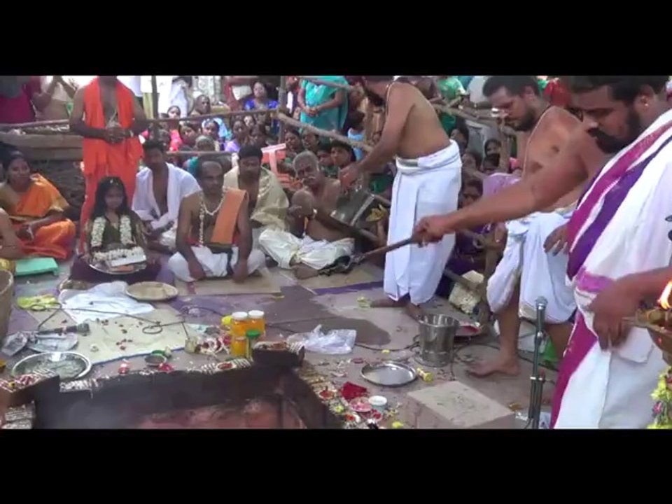 villupuram sri chandi homam   08 03 14 00022