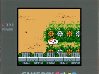 Hamtaro : Bienvenue au Club ! (Parte 5)