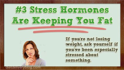 Scale Not Budging? Here are 3 Things That Could Be Happening!