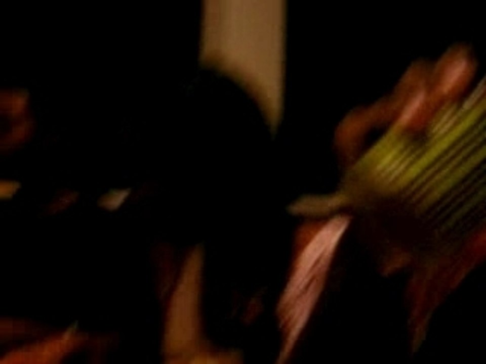 birthday