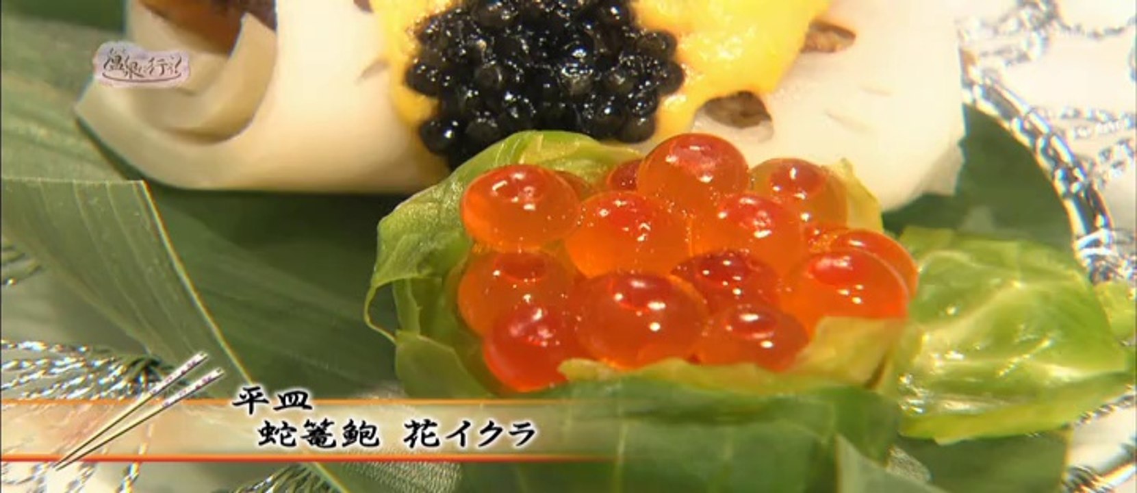 【MO】#44-2