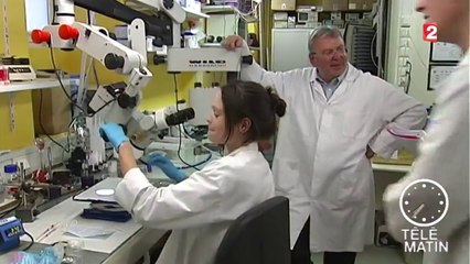 Acouphènes : un Français sur quatre souffre de bourdonnements