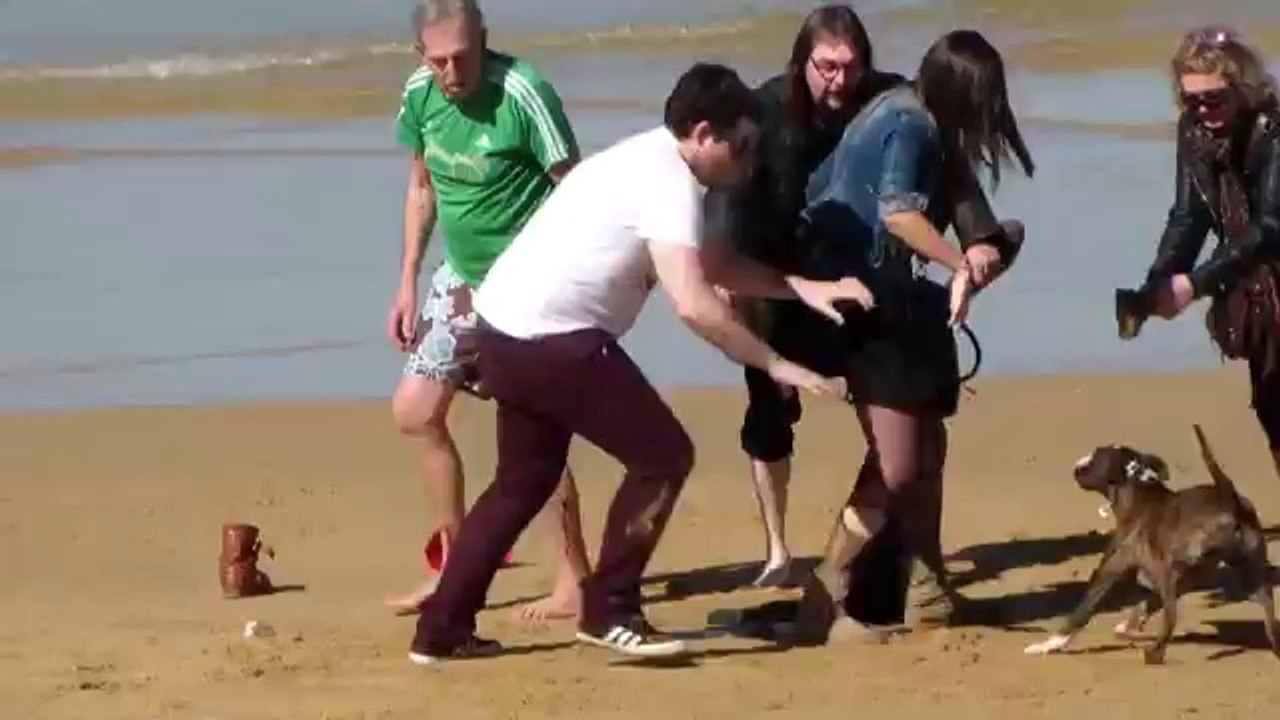 Un chien attaque des gens sur la plage
