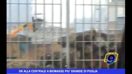 Ok alla Cementeria a biomasse più grande di Puglia