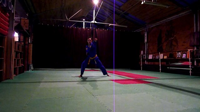 Vovinam: Việt Võ Đạo Quyền (slow version)