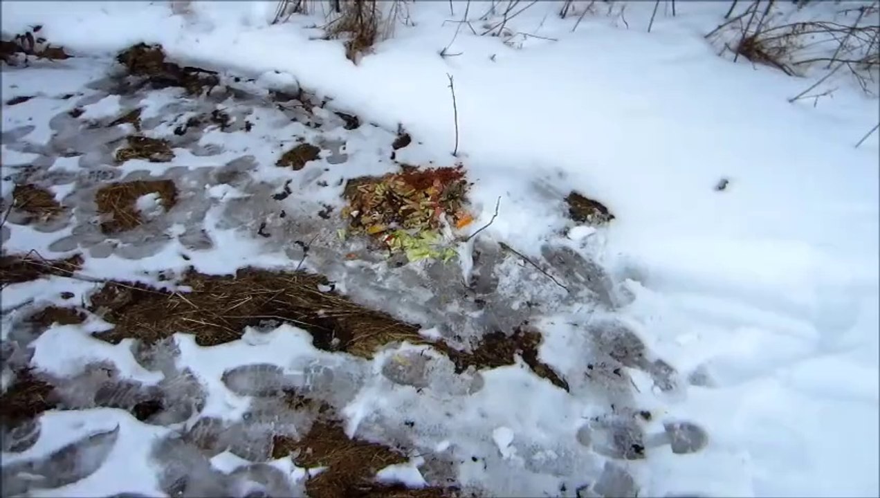 Winter Farm Scene 10 March 2014