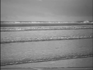 Les Vacances à la plage - Eté