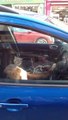 Ce chien en a marre d'attendre dans la voiture... A fond sur le klaxon!