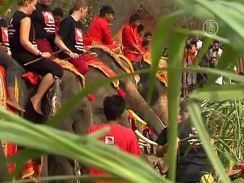 Как в Таиланде отмечали Национальный день слона