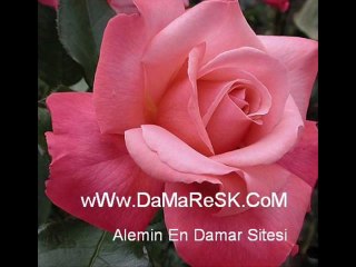 chatgunu.com // chatgunu.com /chatgunu.com / [CaNMiSaLi]11