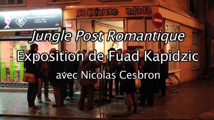Fuad Kapidzic - Jungle Post Romantique