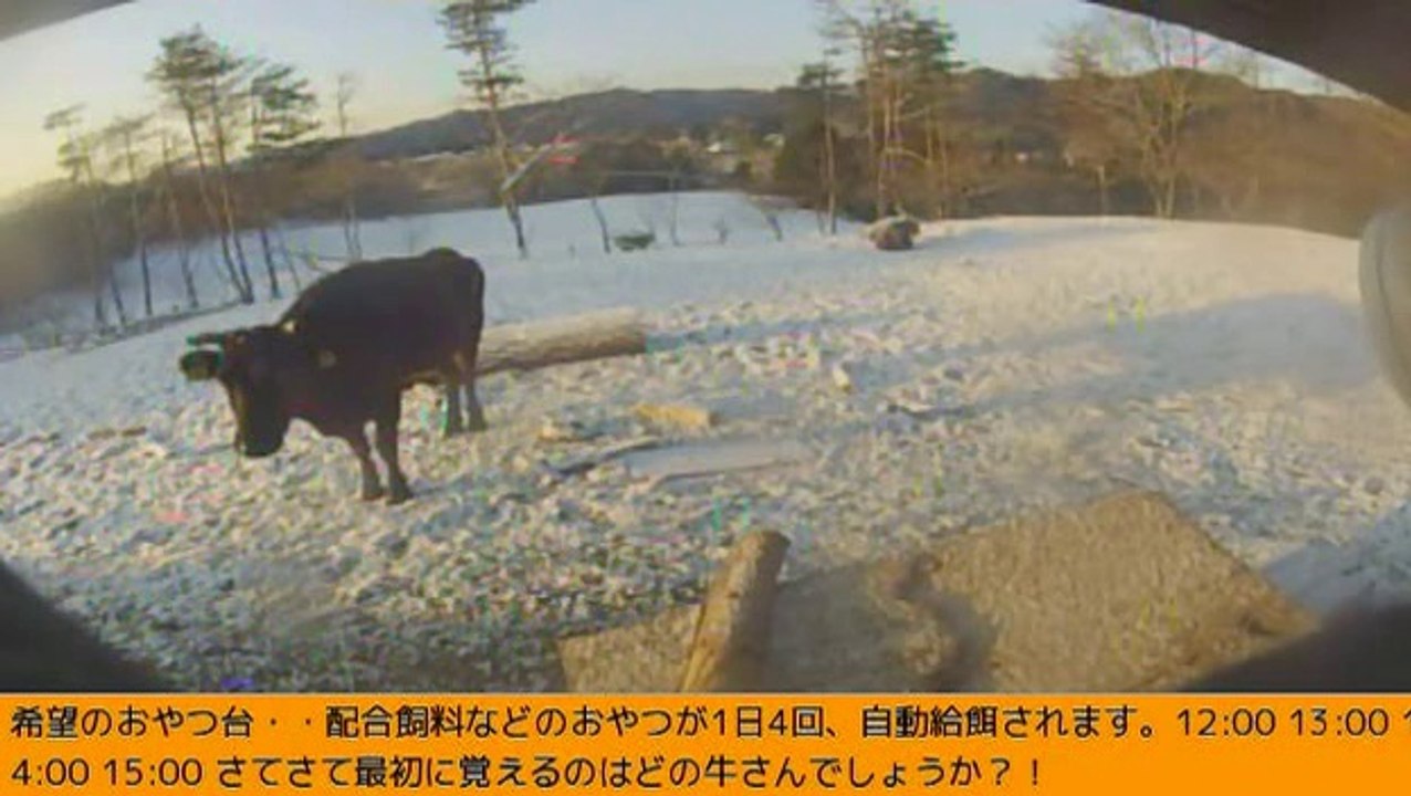 2014-03-07 06-01　牧場三号機　静かな雪景色